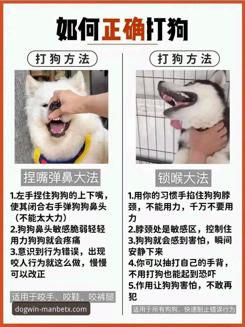 狗万体育平台实用指南：掌握狗万manbetx官网网址的创新玩法