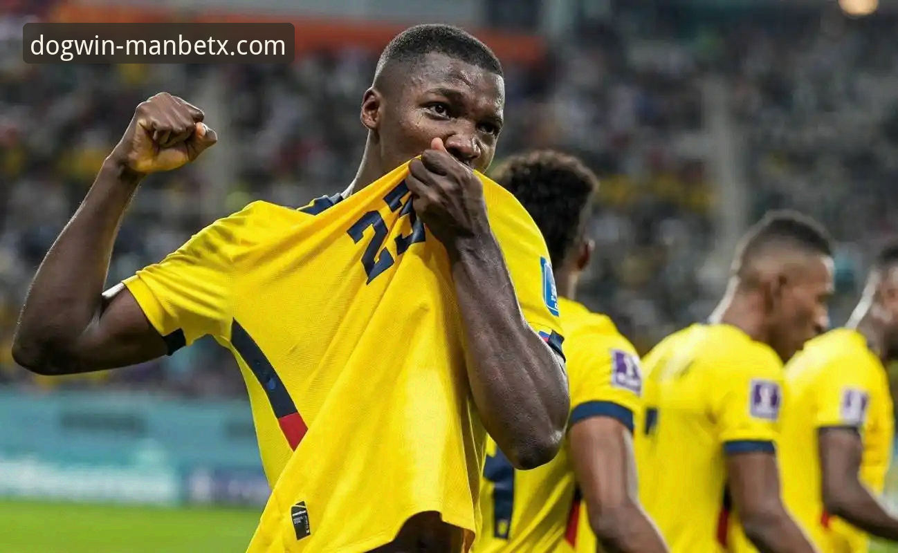 资深用户分享：在狗万体育平台见证阿根廷5-0大胜的战术革命与创新体验